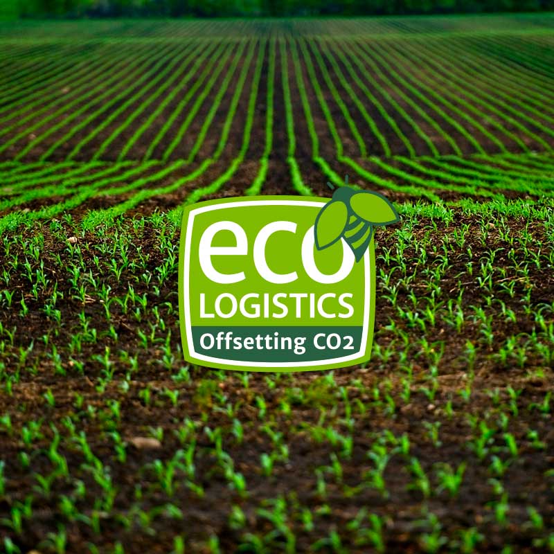 eco logistics logotipo